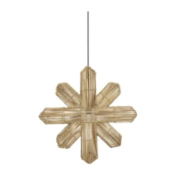 PR Home Etoile De L'avent Vega Nature