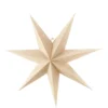 Étoile De L'avent Nature Bare