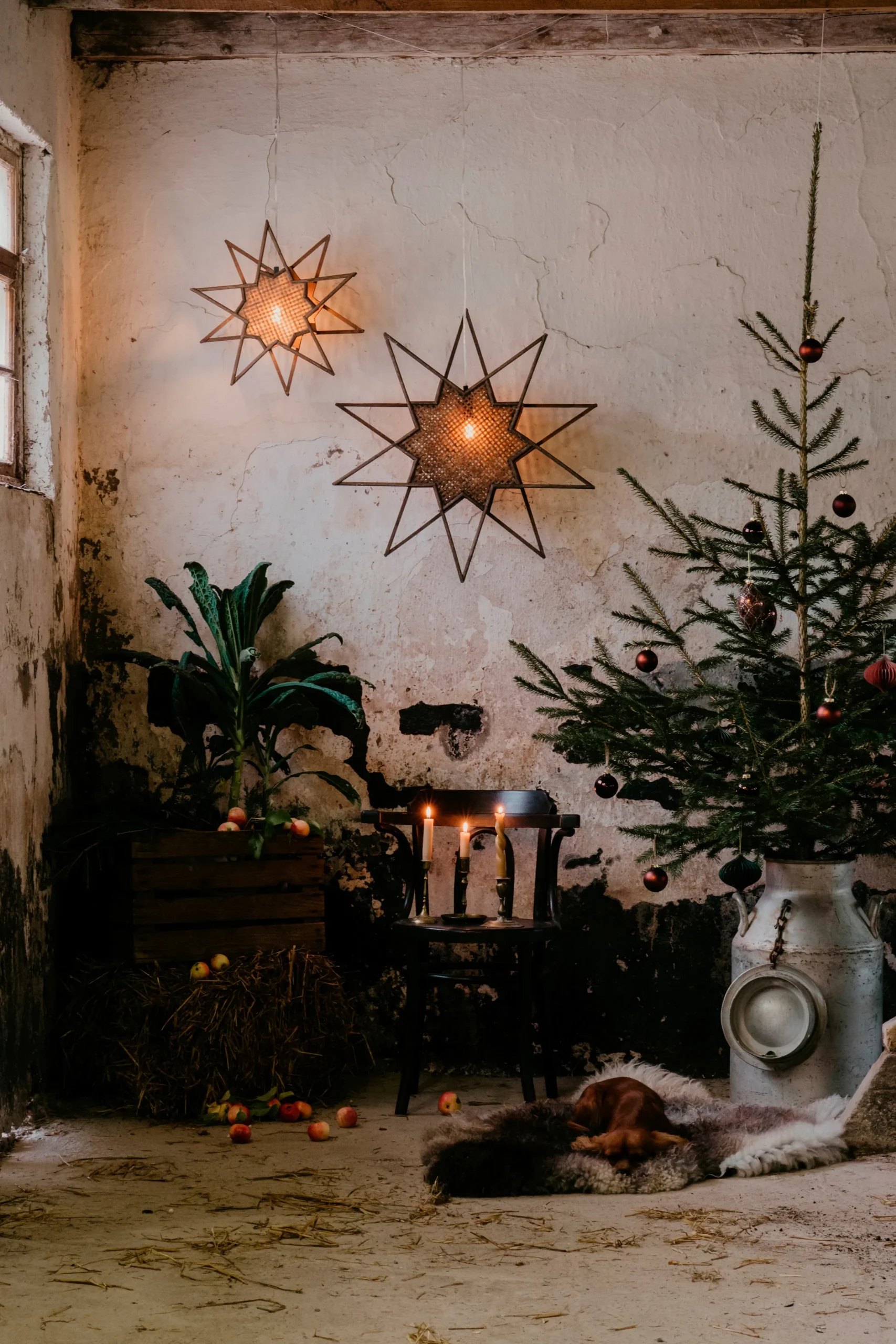 Globen Lighting Etoile De L'avent Karin Ø70 Cm 6 Globen Lighting Etoile De L'avent Karin Ø70 Cm – Image 6