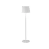 Lampadaire AVS